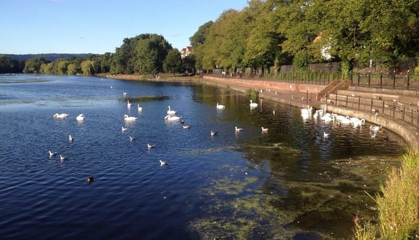 Roath Park